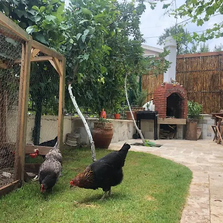 Вилла Kaya Elite & Restful Location